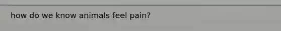 how do we know animals feel pain?