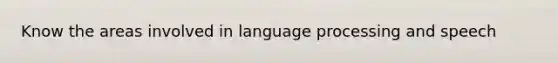 Know the areas involved in language processing and speech