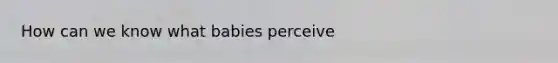 How can we know what babies perceive