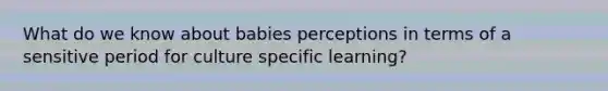 What do we know about babies perceptions in terms of a sensitive period for culture specific learning?