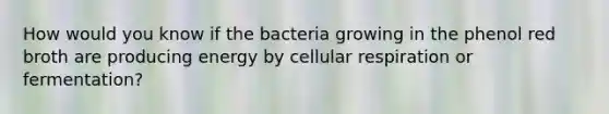 How would you know if the bacteria growing in the phenol red broth are producing energy by cellular respiration or fermentation?