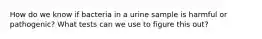 How do we know if bacteria in a urine sample is harmful or pathogenic? What tests can we use to figure this out?