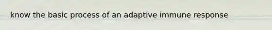 know the basic process of an adaptive immune response