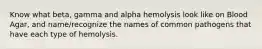 Know what beta, gamma and alpha hemolysis look like on Blood Agar, and name/recognize the names of common pathogens that have each type of hemolysis.