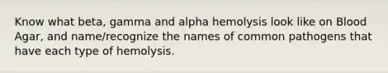 Know what beta, gamma and alpha hemolysis look like on Blood Agar, and name/recognize the names of common pathogens that have each type of hemolysis.