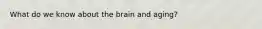 What do we know about the brain and aging?