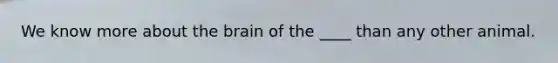 We know more about the brain of the ____ than any other animal.