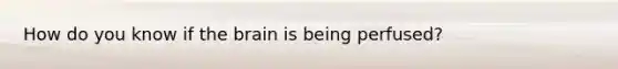 How do you know if the brain is being perfused?