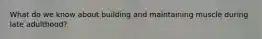What do we know about building and maintaining muscle during late adulthood?
