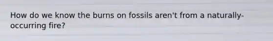 How do we know the burns on fossils aren't from a naturally-occurring fire?