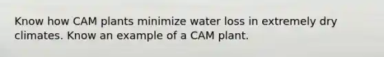 Know how CAM plants minimize water loss in extremely dry climates. Know an example of a CAM plant.