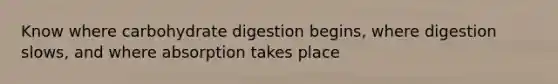 Know where carbohydrate digestion begins, where digestion slows, and where absorption takes place