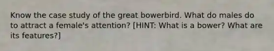 Know the case study of the great bowerbird. What do males do to attract a female's attention? [HINT: What is a bower? What are its features?]