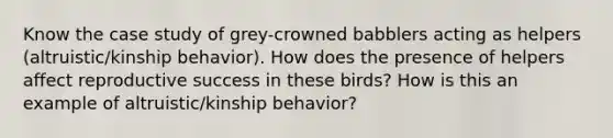 Know the case study of grey-crowned babblers acting as helpers (altruistic/kinship behavior). How does the presence of helpers affect reproductive success in these birds? How is this an example of altruistic/kinship behavior?