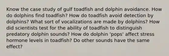 Know the case study of gulf toadfish and dolphin avoidance. How do dolphins find toadfish? How do toadfish avoid detection by dolphins? What sort of vocalizations are made by dolphins? How did scientists test for the ability of toadfish to distinguish predatory dolphin sounds? How do dolphin 'pops' affect stress hormone levels in toadfish? Do other sounds have the same effect?