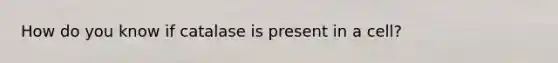 How do you know if catalase is present in a cell?