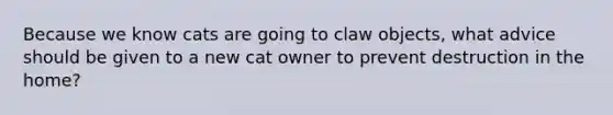 Because we know cats are going to claw objects, what advice should be given to a new cat owner to prevent destruction in the home?