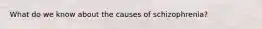 What do we know about the causes of schizophrenia?