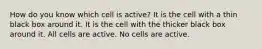 How do you know which cell is active? It is the cell with a thin black box around it. It is the cell with the thicker black box around it. All cells are active. No cells are active.