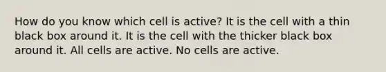 How do you know which cell is active? It is the cell with a thin black box around it. It is the cell with the thicker black box around it. All cells are active. No cells are active.