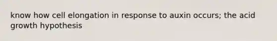 know how cell elongation in response to auxin occurs; the acid growth hypothesis