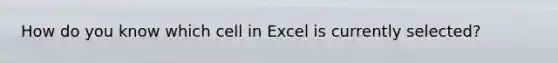 How do you know which cell in Excel is currently selected?