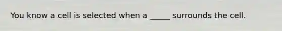 You know a cell is selected when a _____ surrounds the cell.