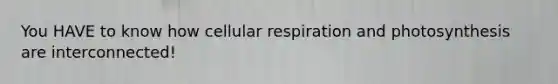 You HAVE to know how cellular respiration and photosynthesis are interconnected!