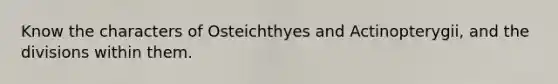 Know the characters of Osteichthyes and Actinopterygii, and the divisions within them.