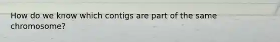 How do we know which contigs are part of the same chromosome?