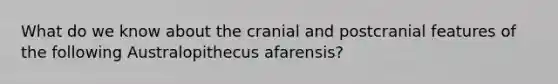 What do we know about the cranial and postcranial features of the following Australopithecus afarensis?