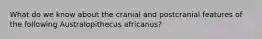 What do we know about the cranial and postcranial features of the following Australopithecus africanus?