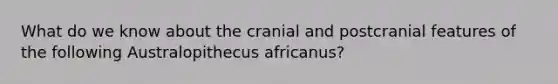 What do we know about the cranial and postcranial features of the following Australopithecus africanus?