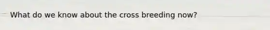 What do we know about the cross breeding now?