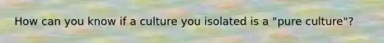 How can you know if a culture you isolated is a "pure culture"?