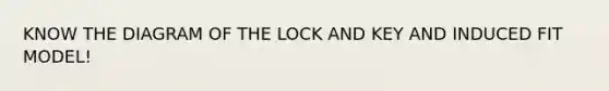 KNOW THE DIAGRAM OF THE LOCK AND KEY AND INDUCED FIT MODEL!