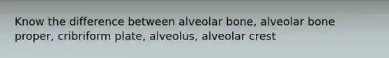 Know the difference between alveolar bone, alveolar bone proper, cribriform plate, alveolus, alveolar crest