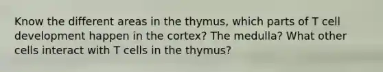 Know the different areas in the thymus, which parts of T cell development happen in the cortex? The medulla? What other cells interact with T cells in the thymus?