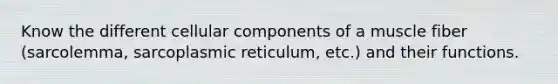 Know the different cellular components of a muscle fiber (sarcolemma, sarcoplasmic reticulum, etc.) and their functions.