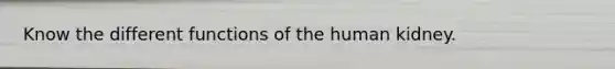 Know the different functions of the human kidney.