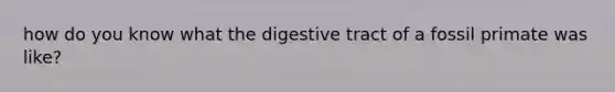 how do you know what the digestive tract of a fossil primate was like?