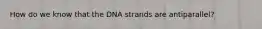 How do we know that the DNA strands are antiparallel?