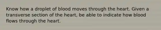 Know how a droplet of blood moves through the heart. Given a transverse section of the heart, be able to indicate how blood flows through the heart.