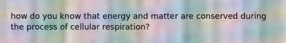 how do you know that energy and matter are conserved during the process of <a href='https://www.questionai.com/knowledge/k1IqNYBAJw-cellular-respiration' class='anchor-knowledge'>cellular respiration</a>?