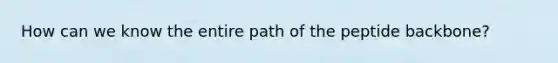 How can we know the entire path of the peptide backbone?