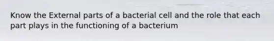 Know the External parts of a bacterial cell and the role that each part plays in the functioning of a bacterium