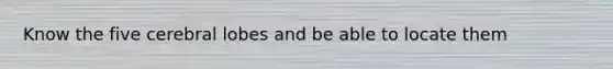 Know the five cerebral lobes and be able to locate them
