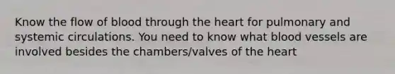 Know the flow of blood through the heart for pulmonary and systemic circulations. You need to know what blood vessels are involved besides the chambers/valves of the heart