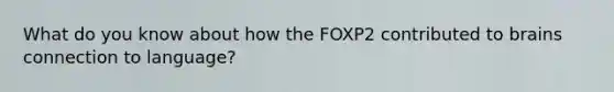 What do you know about how the FOXP2 contributed to brains connection to language?