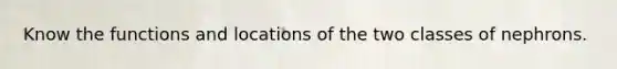 Know the functions and locations of the two classes of nephrons.